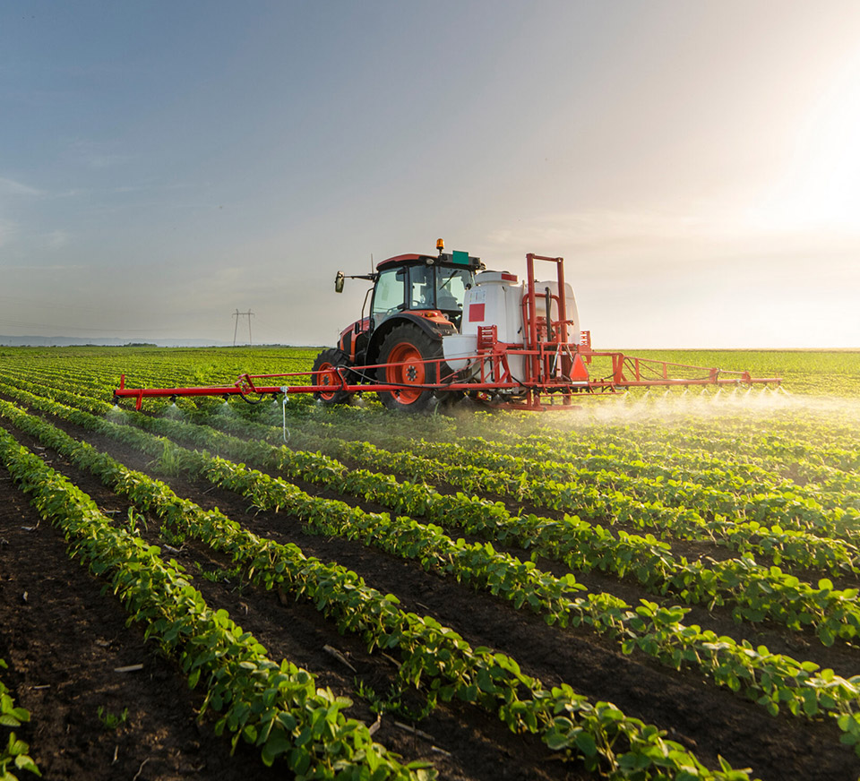 Agriculture & Food